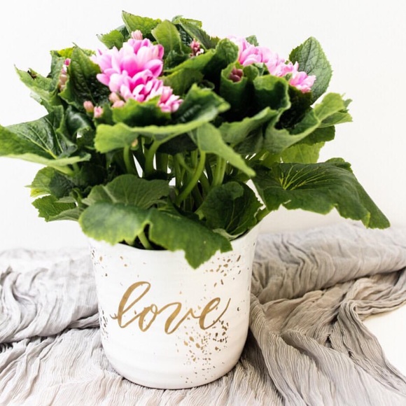 Meet your Posher, Rosanna - Picture 1 of 1